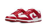 Nike Dunk Low Next Nature White Gym Red Front